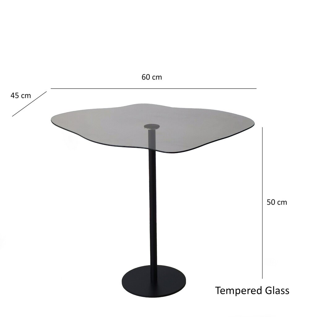 Kohvilaud Asir, 60x50x45cm, must hind ja info | Diivanilauad | kaup24.ee