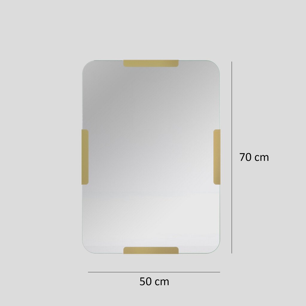 Peegel Asir, 50x70cm, kuldne цена и информация | Vannitoa peeglid | kaup24.ee