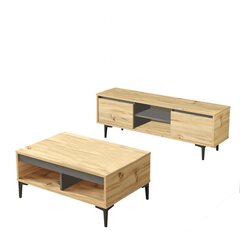 Комплект мебели для гостиной Asir, 140x48,1x35,5см, 90x40,6x60см, цвет бежевый/серый цена и информация | Тумбы под телевизор | kaup24.ee