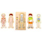 Puidust anatoomia pusle, inimkeha lastele hind ja info | Arendavad mänguasjad | kaup24.ee