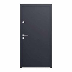 Новая металлическая дверь ATS56 950 x 2050 Антрацит цена и информация | Уличные двери | kaup24.ee