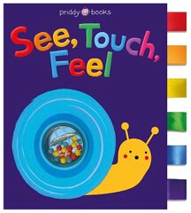 See, Touch, Feel цена и информация | Книги для малышей | kaup24.ee