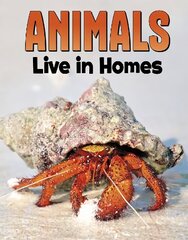 Animals Live in Homes hind ja info | Noortekirjandus | kaup24.ee