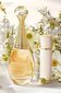 Komplekt Christian Dior J'Adore Jasmine Grandiflorum naistele: parfüümvesi EDP, 100 ml + parfüümvesi EDP, 10 ml hind ja info | Naiste parfüümid | kaup24.ee