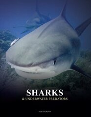 Sharks and Underwater Predators цена и информация | Книги по фотографии | kaup24.ee