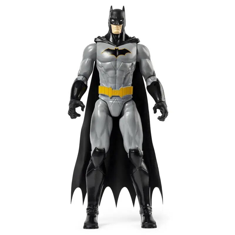 Figuur Batman, 30 cm цена и информация | Poiste mänguasjad | kaup24.ee