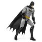 Figuur Batman, 30 cm цена и информация | Poiste mänguasjad | kaup24.ee