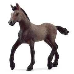 Figuur Paso Peruano varss Schleich Horse Club hind ja info | Poiste mänguasjad | kaup24.ee