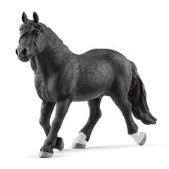 Фигурка Норикер породы лошадь Schleich Farm World цена и информация | Развивающий мелкую моторику - кинетический песок KeyCraft NV215 (80 г) детям от 3+ лет, бежевый | kaup24.ee