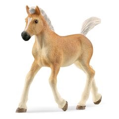 Фигурка жеребенка Хафлингера Schleich Horse Club цена и информация | Игрушки для мальчиков | kaup24.ee