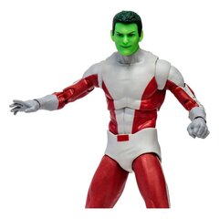 Figuur DC Comics Multiverse Beast Boy, 18 cm hind ja info | Poiste mänguasjad | kaup24.ee