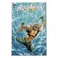 Figuur DC Comics DC Direct Page Punchers Aquaman, 18 cm цена и информация | Poiste mänguasjad | kaup24.ee