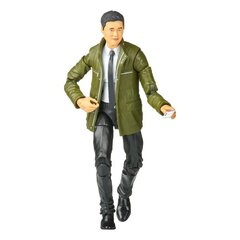 Figuur WandaVision Marvel Legends Khonshu BAF: Jimmy Woo, 15 cm hind ja info | Poiste mänguasjad | kaup24.ee