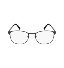 Brilles lasīšanai 7600 D1.50 Metal Grey цена и информация | Очки | kaup24.ee