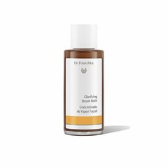 Näopesuvahend Dr. Hauschka, 100 ml цена и информация | Аппараты для ухода за лицом | kaup24.ee