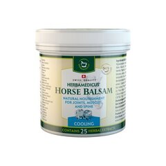 Herbamedicus hobusepalsam, jahutav, 250 ml цена и информация | Мази, бальзамы | kaup24.ee