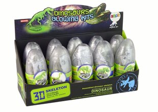 Dinosauruse skelett munas, helendab pimedas, 1 tk цена и информация | Развивающие игрушки | kaup24.ee
