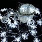 Jõulutuled, 10m, 100 LED, Livman TY-101 hind ja info | Jõulutuled | kaup24.ee