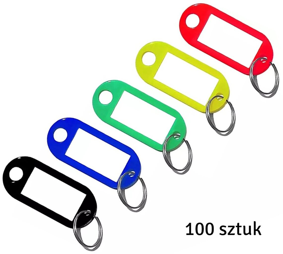 Võtmehoidjad võtmete identifikaatoritega Perf, 100 tk hind ja info | Originaalsed võtmehoidjad | kaup24.ee