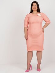 Kleit naistele Lakerta, roosa hind ja info | Kleidid | kaup24.ee