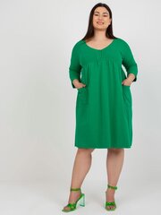 Kleit naistele Relevance, roheline цена и информация | Платья | kaup24.ee