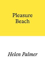 Pleasure Beach цена и информация | Фантастика, фэнтези | kaup24.ee