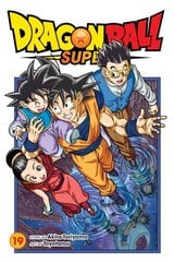 Dragon Ball Super, Vol. 19 цена и информация | Фантастика, фэнтези | kaup24.ee