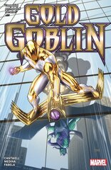 Gold Goblin цена и информация | Фантастика, фэнтези | kaup24.ee