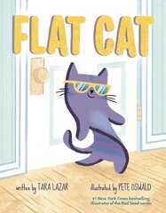 Flat Cat цена и информация | Книги для подростков и молодежи | kaup24.ee