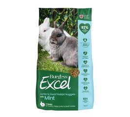 Toit küülikutele Burgess Excel Junior Mint, 1,5 kg hind ja info | Toit närilistele | kaup24.ee