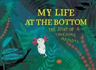 My Life at the Bottom: The Story of a Lonesome Axolotl цена и информация | Книги для подростков и молодежи | kaup24.ee