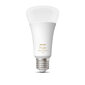 Smart Elektripirn Philips E27 hind ja info | Lambipirnid, lambid | kaup24.ee