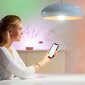 Nutipirn Wiz Smart LED Bulb Spot PAR16 GU10, 2tk hind ja info | Lambipirnid, lambid | kaup24.ee