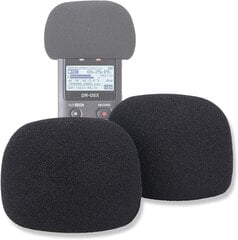 Tascam DR-05X hind ja info | Mikrofonid | kaup24.ee