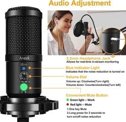 AVEEK Professional USB -конденсатор комплект 192 кГц / 24bit PC Microphone с микрофонной подставкой для микрофона для записей, радио, игр, потоковой передачи цена и информация | Микрофоны | kaup24.ee