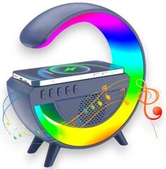 Портативная колонка PD G500, многоцветная, 10 Вт цена и информация | Аудиоколонки | kaup24.ee