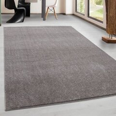 Ковёр Ata Beige, 80x150 см цена и информация | Ковры | kaup24.ee