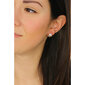 Hõbetatud kõrvarõngad naistele Emporio Armani EG3535221 pärlitega цена и информация | Kõrvarõngad | kaup24.ee