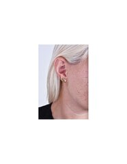 Metallist kõrvarõngad Troli hind ja info | Kõrvarõngad | kaup24.ee