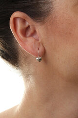 Hõbedased kõrvarõngad naistele Moiss E0000557 tsirkooniumiga hind ja info | Kõrvarõngad | kaup24.ee