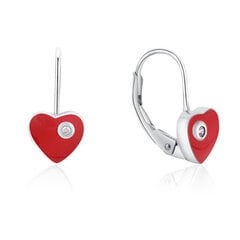 Романтические серебряные серьги с сердечками из цирконов Moiss E0000557 цена и информация | Серьги | kaup24.ee