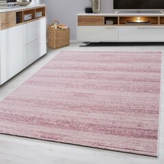 Vaip Plus Pink 8000, 120x170 cm цена и информация | Ковры | kaup24.ee