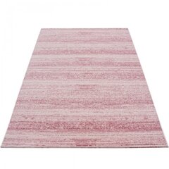 Vaip Plus Pink 8000, 120x170 cm hind ja info | Vaibad | kaup24.ee