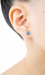 Hõbedased kõrvarõngad naistele Moiss E0002748 hind ja info | Kõrvarõngad | kaup24.ee