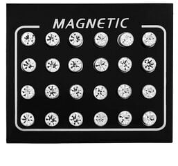 Современный набор магнитных серёг с цветными кристаллами Troli (бусы, мини брошь) цена и информация | Серьги | kaup24.ee