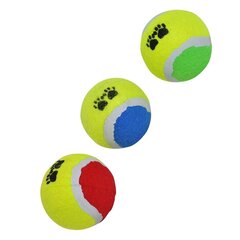 Набор мячиков для собаки Dog Toys, 3 шт. цена и информация | Игрушки для собак | kaup24.ee