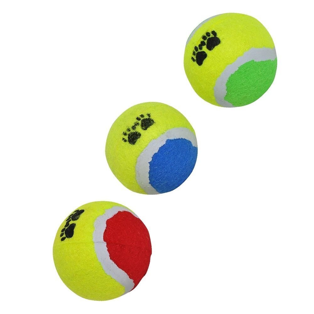 Koerte mängupallide komplekt Dog Toys, 3 tk. hind ja info | Mänguasjad koertele | kaup24.ee