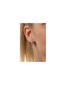 Hõbedased kõrvarõngad naistele tsirkooniumiga Brandberry E0000667 sMM0109 hind ja info | Kõrvarõngad | kaup24.ee