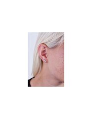 Kullatud kõrvarõngad naistele Troli STO2786 hind ja info | Kõrvarõngad | kaup24.ee