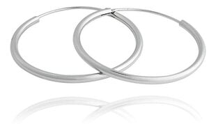JVD Нестареющие серебряные круглые серьги SVLE0208XD500 sJV0650-25 цена и информация | Серьги | kaup24.ee